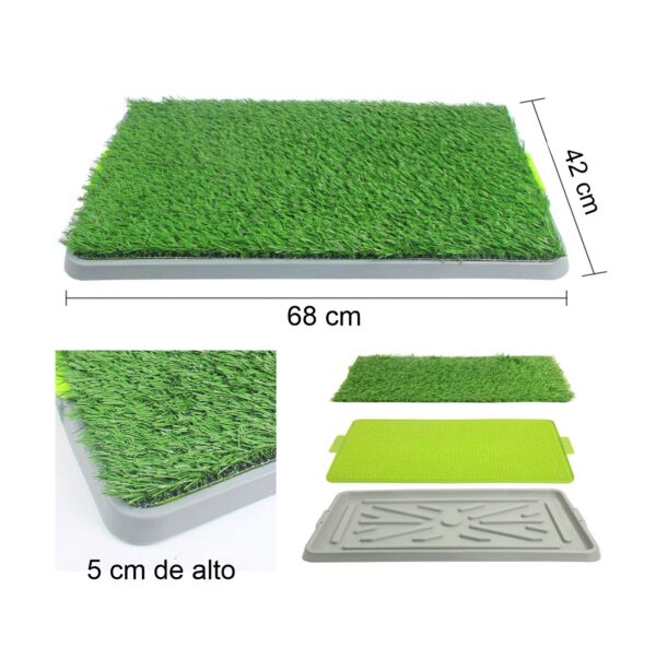 1710422662Tapete20De20Entrenamiento20Para20Perro20F.jpg Tapete Entrenamiento Para Perro Casa