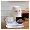 Comedero Mascotas Con Base y Dos Platos